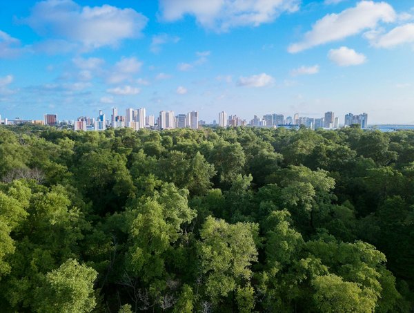 Rigazo : explorez votre identité avec des produits uniques